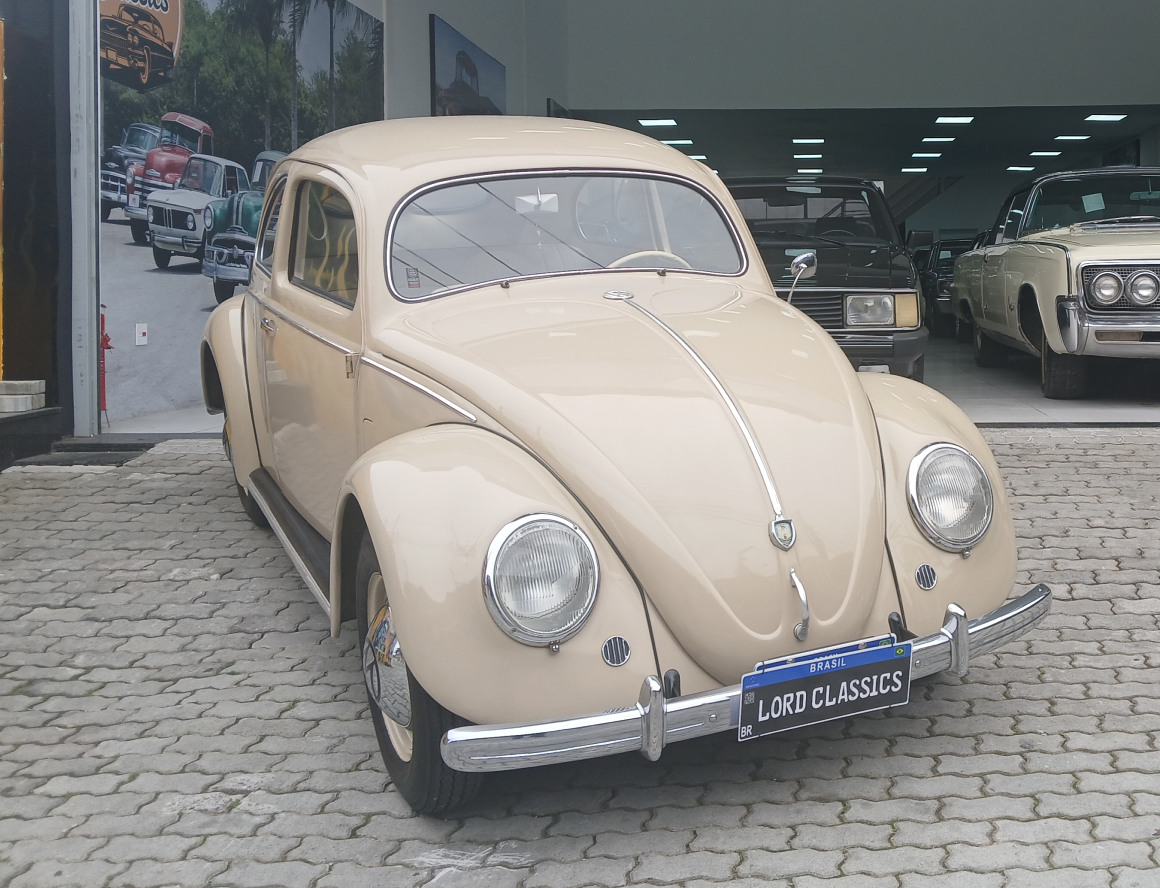 fusca-split-52